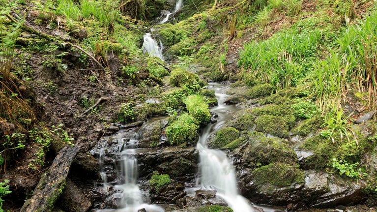 A long-exposure shot of a waterfall tumbling down over moss-covered rocks amidst woodland at Cregagh Glen and Lisnabreeny, County Down.